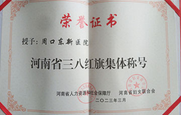 08.jpg